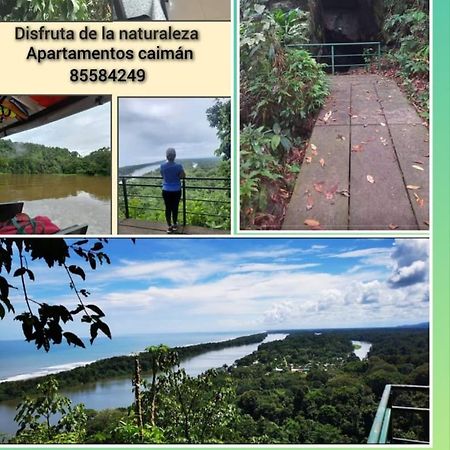 Apartamentos Caiman Tortuguero Extérieur photo