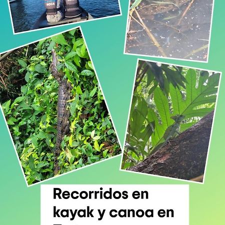 Apartamentos Caiman Tortuguero Extérieur photo