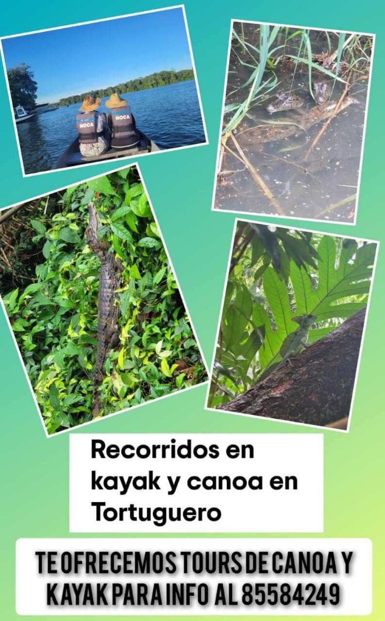 Apartamentos Caiman Tortuguero Extérieur photo